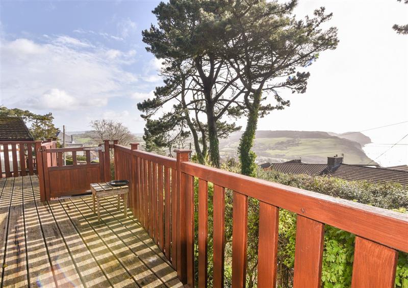 Enjoy the garden at The Lodge @ Clifftop Park, Charmouth