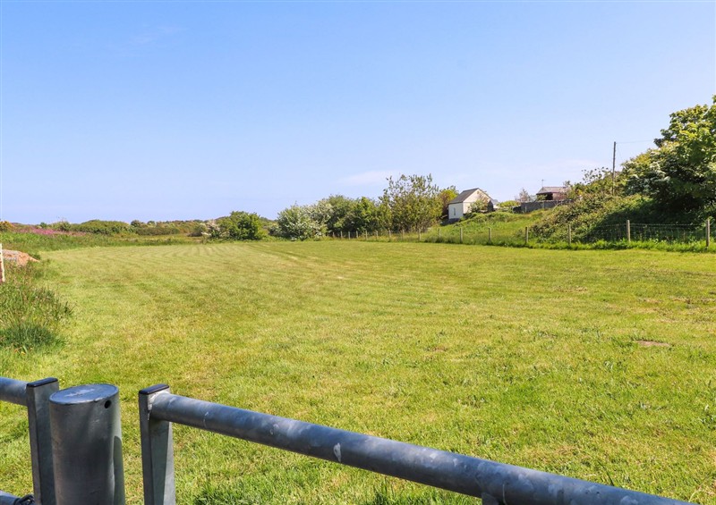 This is the garden at The Lodge, Amlwch