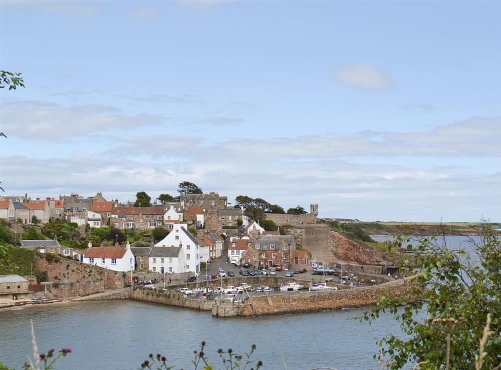 Nearby Crail harbour