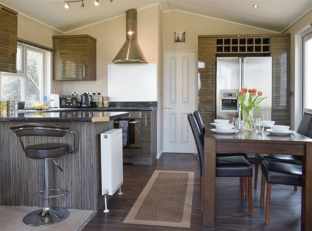Open plan living space (photo 2) at The Lodge at Newmeads Farm in Wick, Glastonbury, Somerset