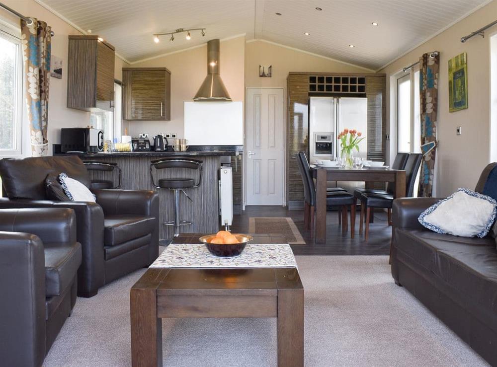 Open plan living space at The Lodge at Newmeads Farm in Wick, Glastonbury, Somerset