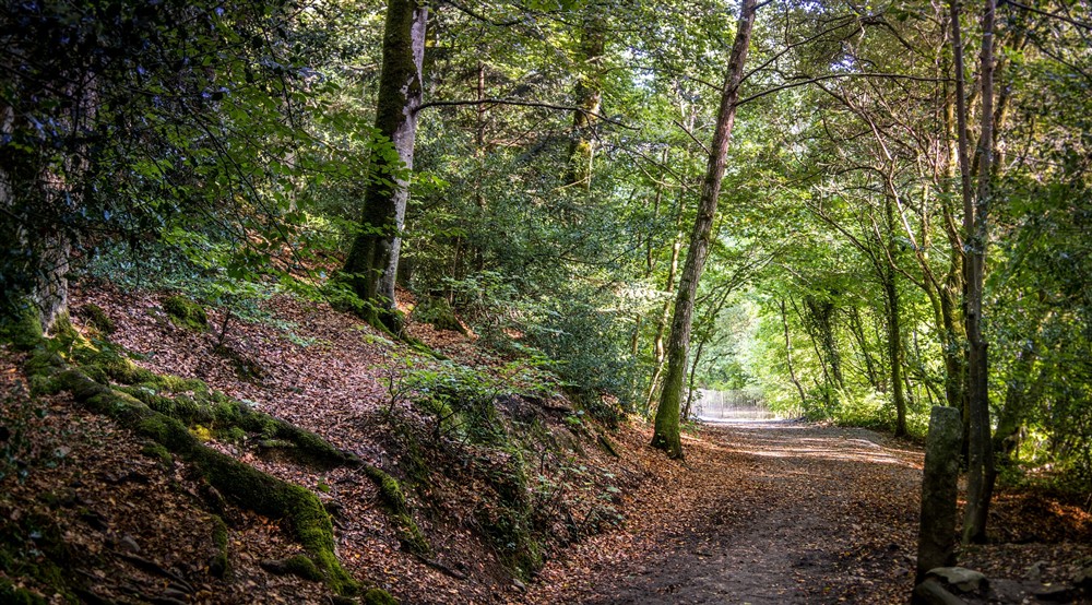 The area surrounding the Lodge (photo 3) at The Lodge At Parke in Newton Abbot, Devon