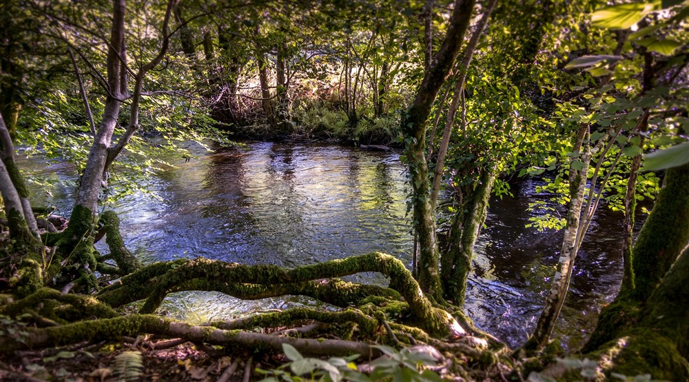 The area surrounding the Lodge (photo 6) at The Lodge At Parke in Newton Abbot, Devon