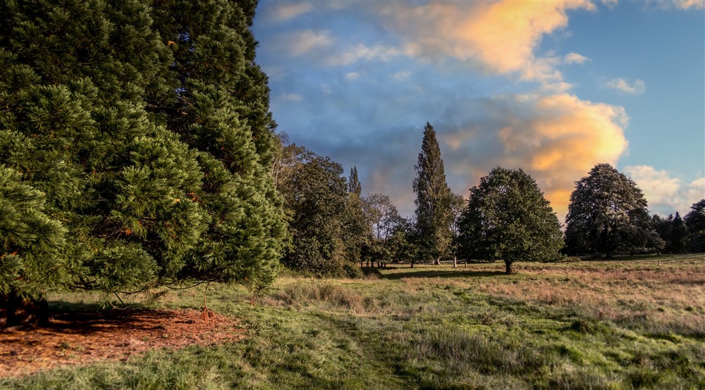 The area surrounding the Lodge at The Lodge At Parke in Newton Abbot, Devon