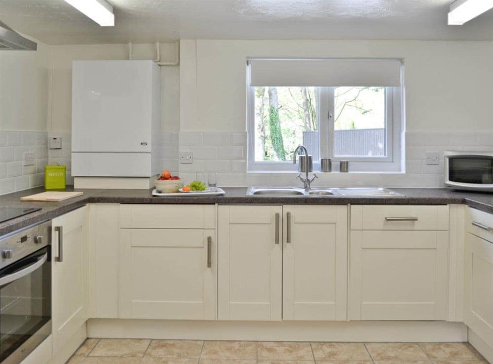 Kitchen at The Lodge at Riverton Lakes in Swimbridge, near Barnstaple, Devon