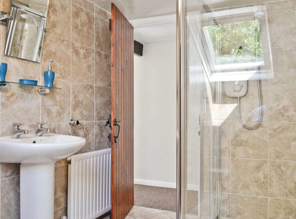 Shower room at The Lodge at Riverton Lakes in Swimbridge, near Barnstaple, Devon