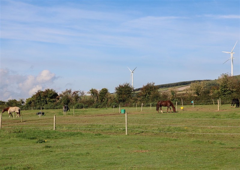 Outside (photo 2) at The Lodge Bolinahaney, Bunclody