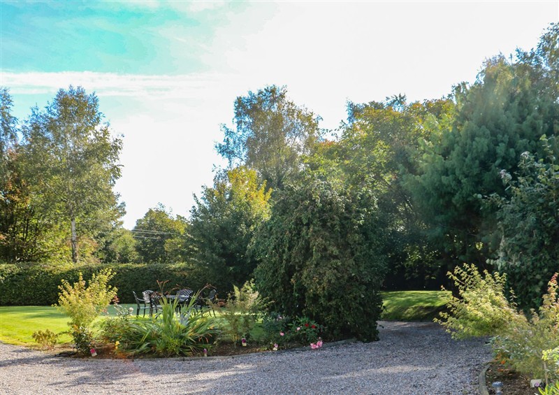 Outside (photo 4) at The Lodge Bolinahaney, Bunclody
