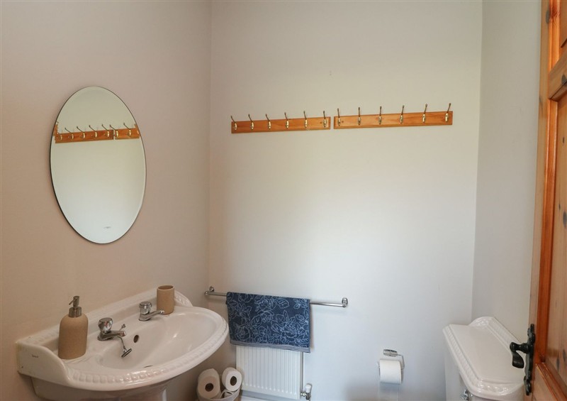 The bathroom at The Lodge Bolinahaney, Bunclody