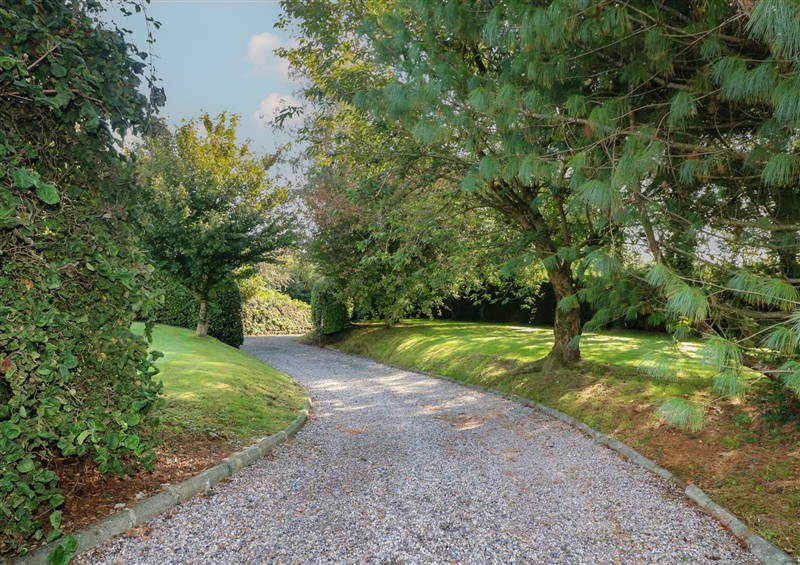 The garden at The Lodge Bolinahaney, Bunclody