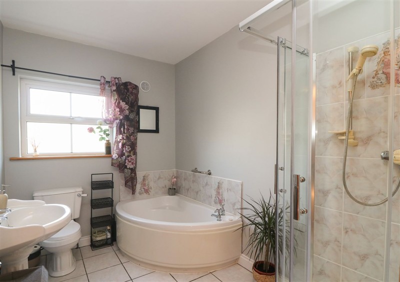 This is the bathroom at The Lodge Bolinahaney, Bunclody