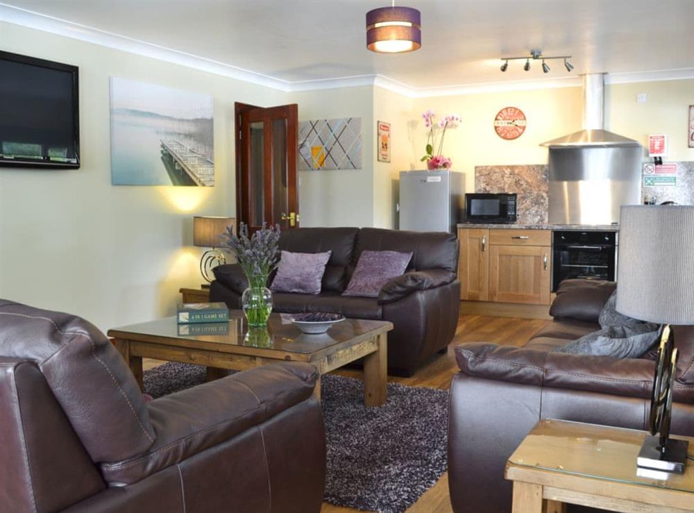 Spacious open plan living space at The Lodge in Brandesburton, near Driffield, North Humberside
