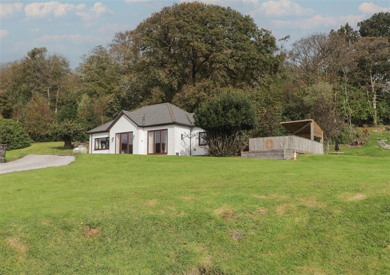 The garden in The Lodge at The Lodge, Coytrahen near Tondu