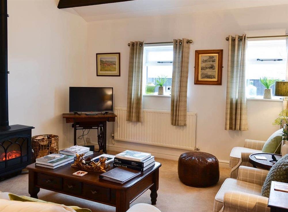 Cosy living room with electric wood burner at The Lodge in Dyserth, near Prestatyn, Denbighshire