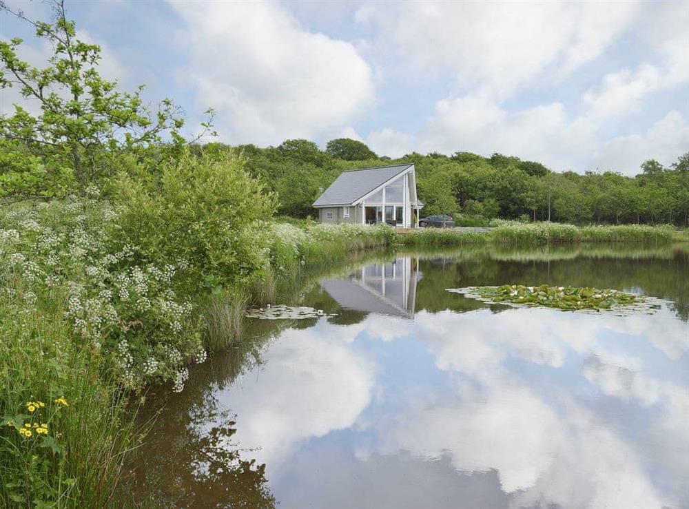 The cottage is set in 5 acres of smallholding in the Welsh valleys at The Lodge in Five Roads, near Llanelli, Dyfed
