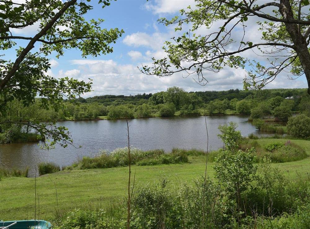 The property enjoys wide open spaces at The Lodge in Five Roads, near Llanelli, Dyfed