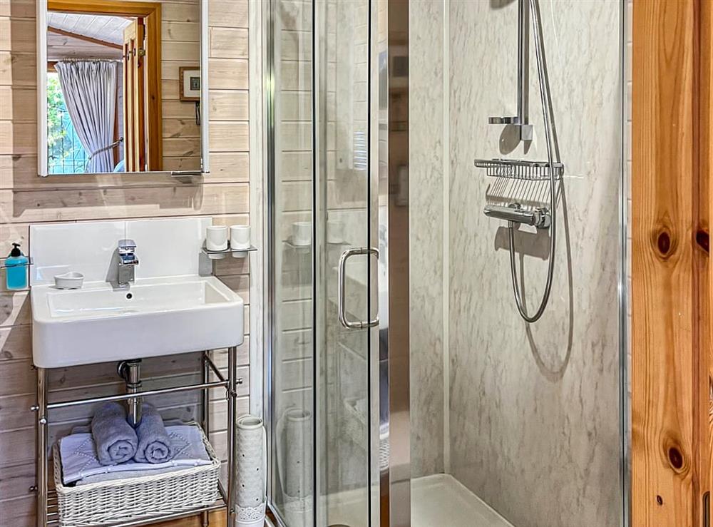 Shower room at The Lodge in Hurstpierpoint, West Sussex