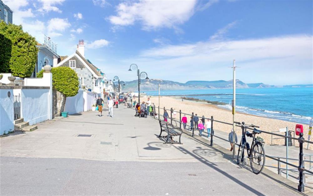 Strolling along the seafront at The Lodge in Lyme Regis