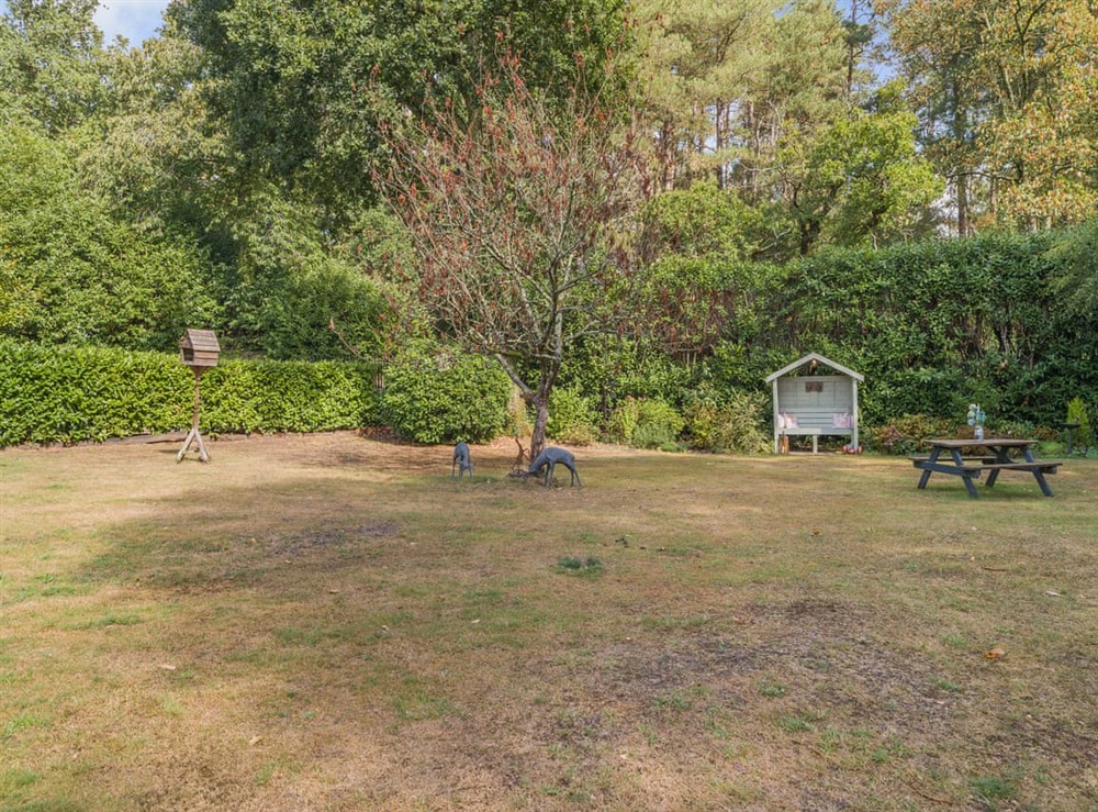 Outdoor (photo 7) at The Lodge in Ringwood, New Forest, Hampshire