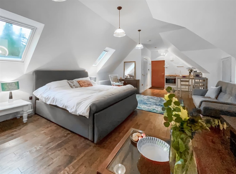 Open plan living space (photo 2) at The Lodge in West Linton, near Edinburgh, Peebleshire