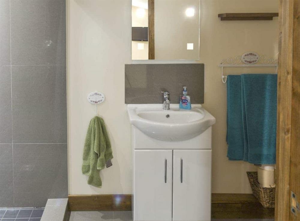 Spacious shower room at Bluebell Lodge, 