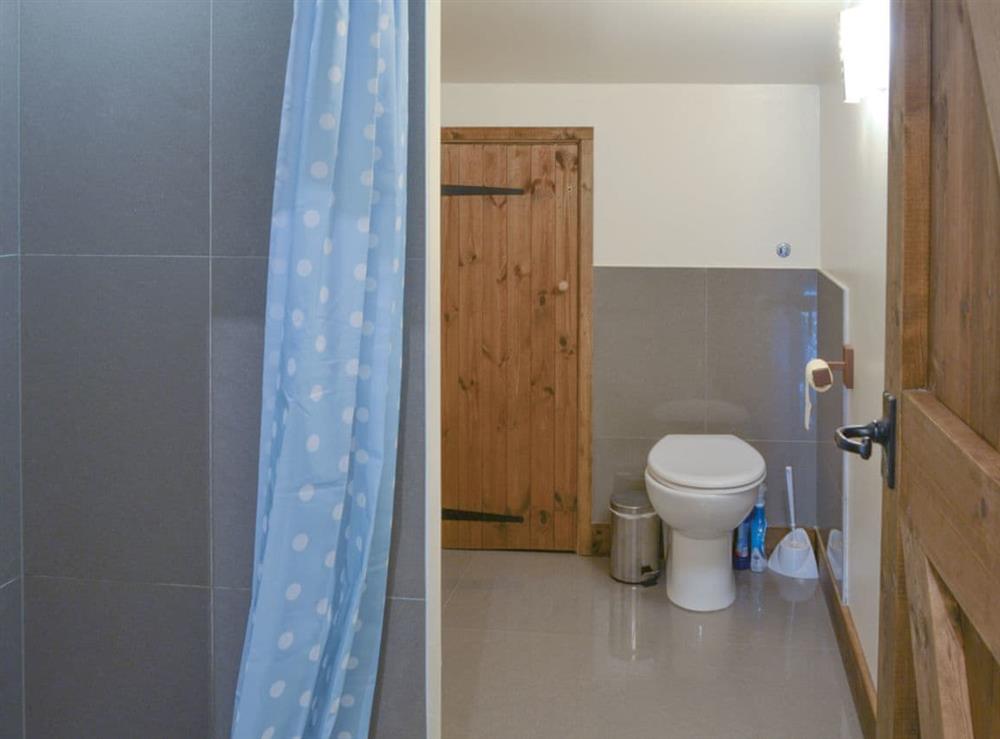 Spacious shower room at Chestnut Lodge, 