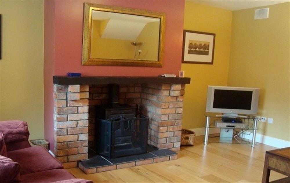 Ground floor: Spacious living room with oak floors and multi-fuel stove (photo 2) at The Loft (Ireland), Navan