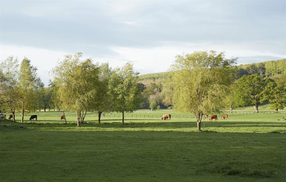 Staying on a working farm, you’ll enjoy all the benefits of being away from it all, with wildlife and walks on your doorstep