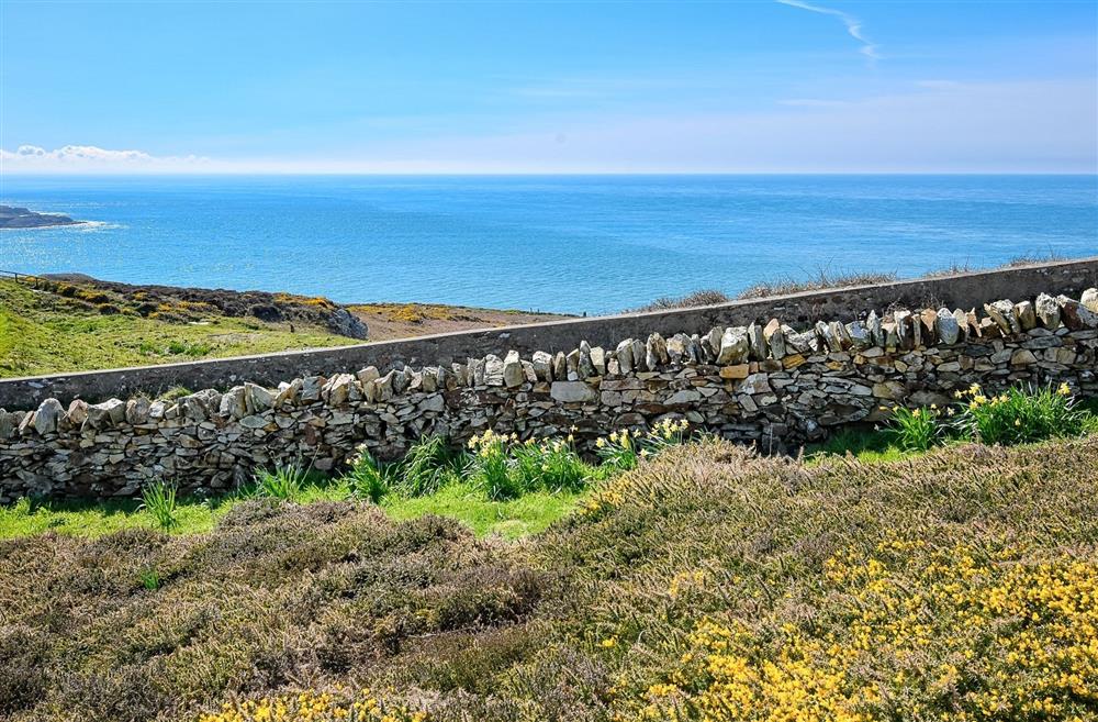 A photo of The Lookout at Ynys Lawd