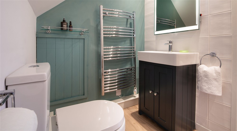 The bathroom (photo 2) at The Lugger in Boscastle, Cornwall
