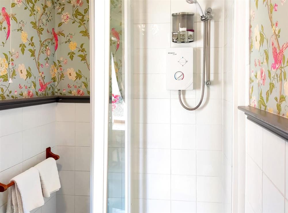 Shower room at The Mansion House at Kirkhill in Gorebridge, near Edinburgh, Midlothian