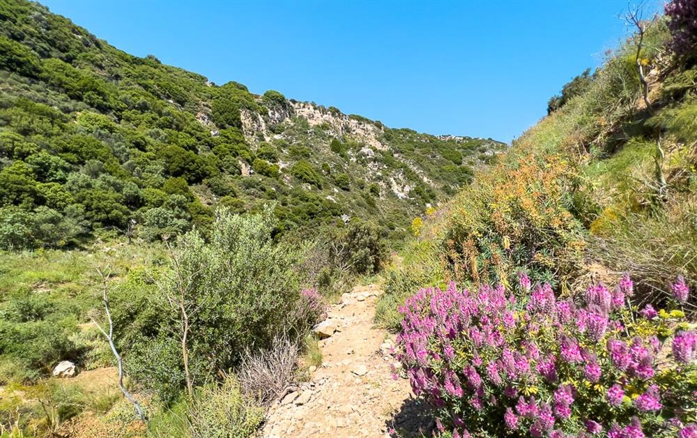Photo of The Mantilari Estate (photo 49) at The Mantilari Estate, Crete, Greece