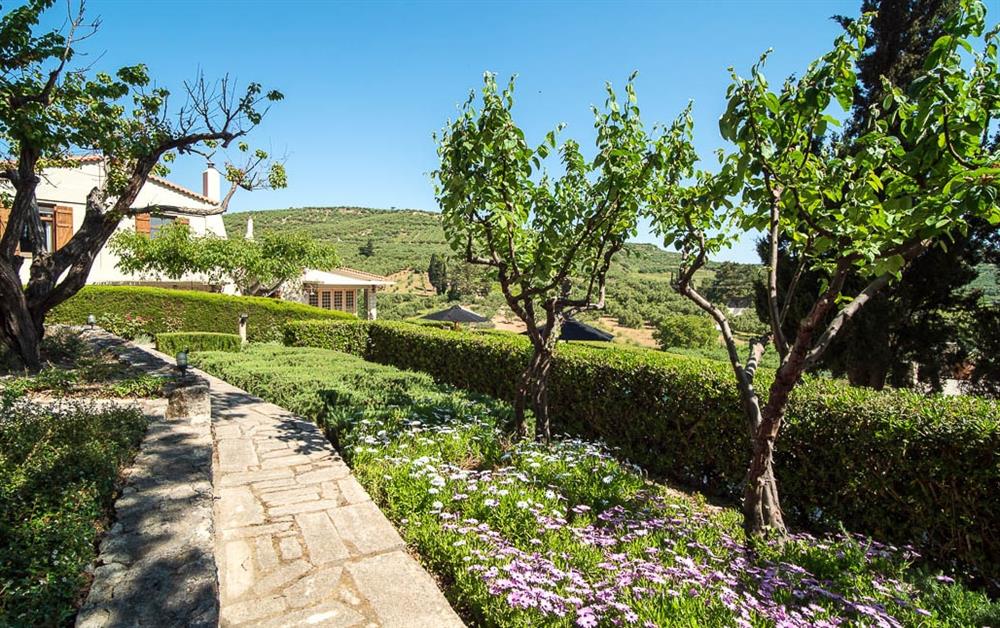 Photo of The Mantilari Estate (photo 8) at The Mantilari Estate, Crete, Greece