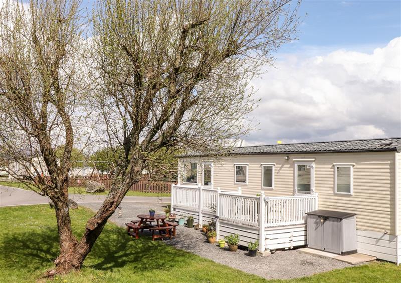 Enjoy the garden at The Maples, Steel Green near Haverigg