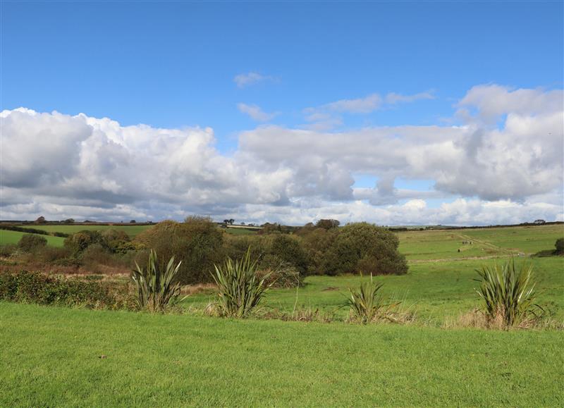 The area around The Mealhouse