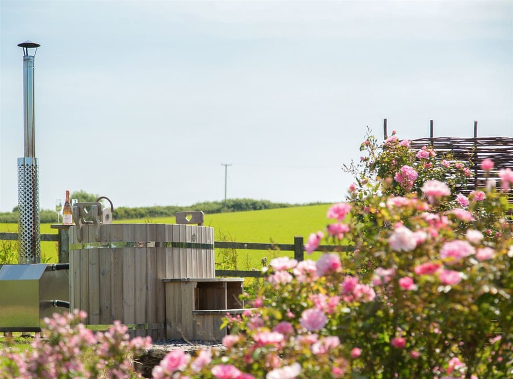 Hot tub at The Mews in Holbeton, Devon
