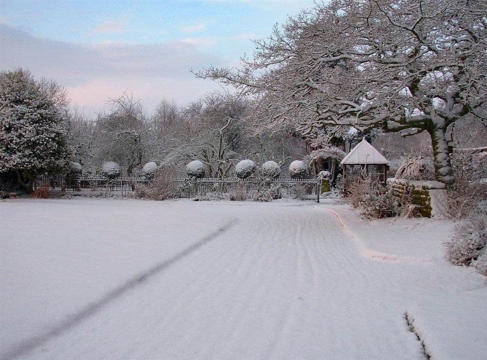 1½ acres of walled gardens in Winter (photo 3) at The Mews in Near Masham, Yorkshire, North Yorkshire