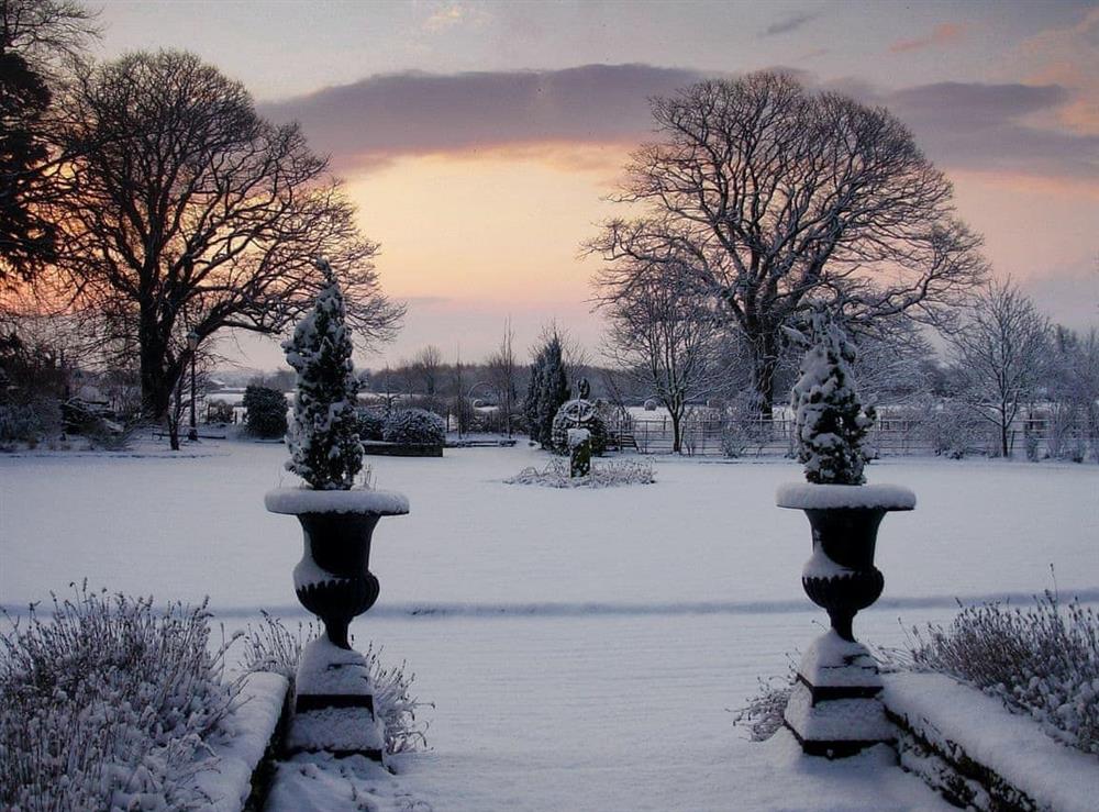 1½ acres of walled gardens in Winter at The Mews in Near Masham, Yorkshire, North Yorkshire