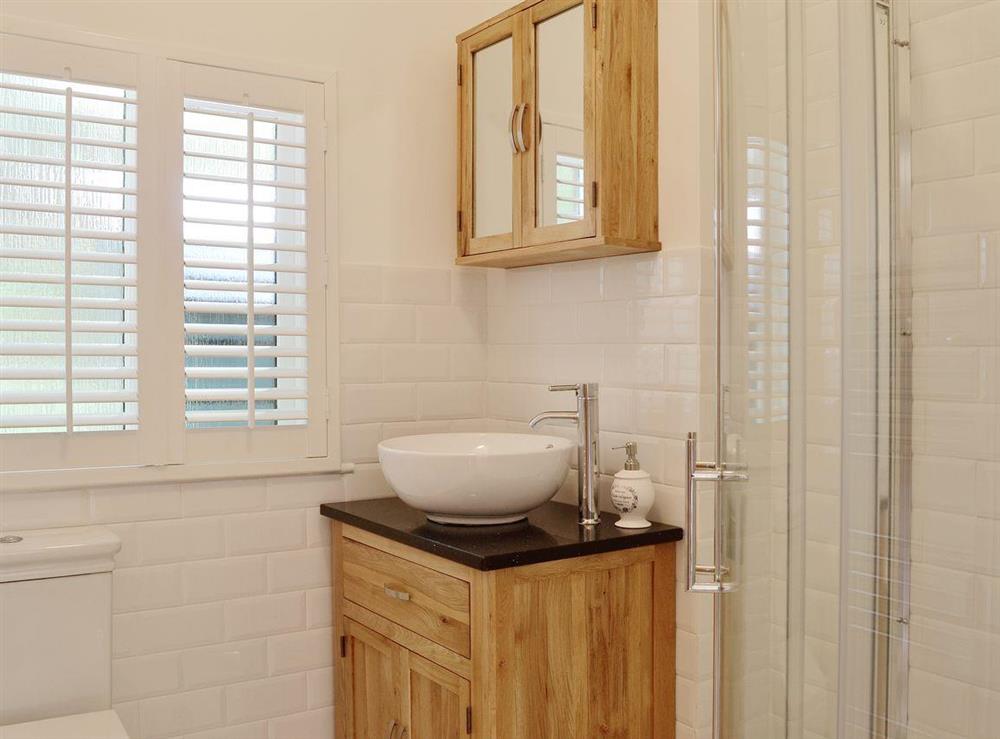 The cottage has a compact shower room at The Mews in Port Of Menteith, Stirlingshire