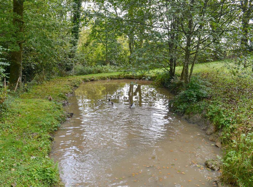 The Milking Parlour in Highampton, Devon sleeps 4