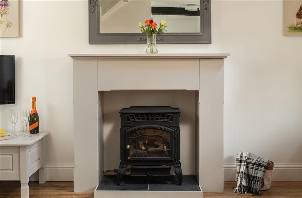 The log burner effect fireplace