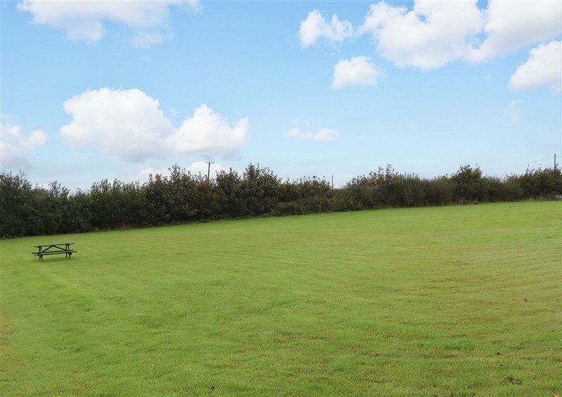 Enjoy the garden at The Milking Shippon at Thorne, Langtree near Great Torrington