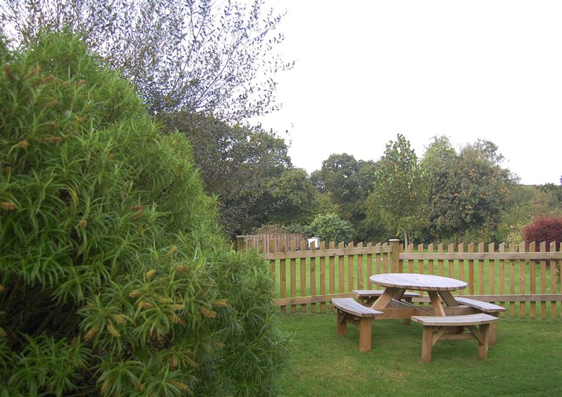The garden in The Milking Shippon at Thorne at The Milking Shippon at Thorne, Langtree near Great Torrington