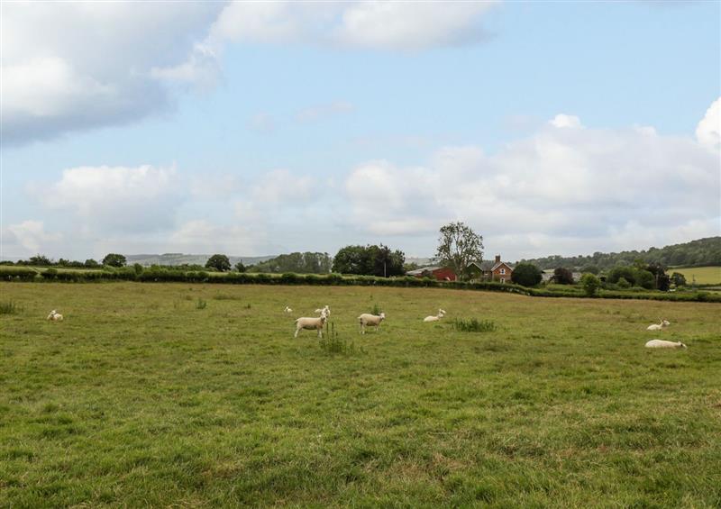 Rural landscape at The Mill Granary, Letton near Leintwardine
