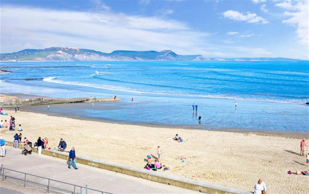 View of South Coast from Lyme Regis