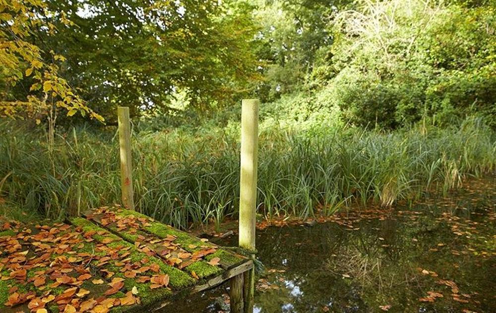 There are extensive gardens including a stream, lawns, ponds and woodland (photo 5) at The Mill House, Buxton with Lamas