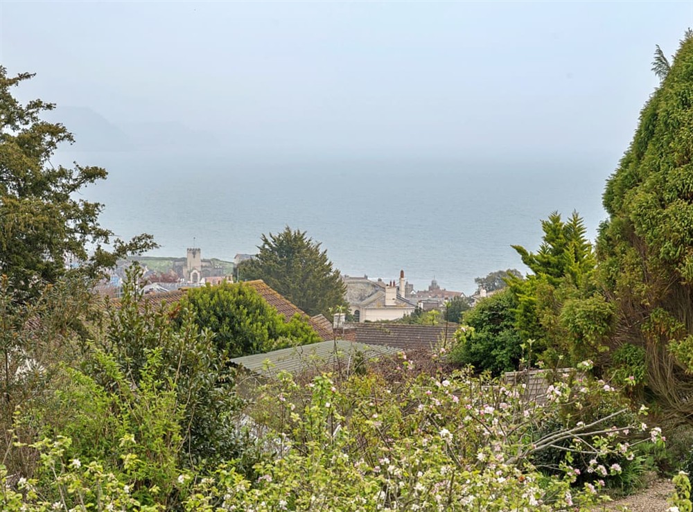 View at The Millfield in Lyme Regis, Dorset