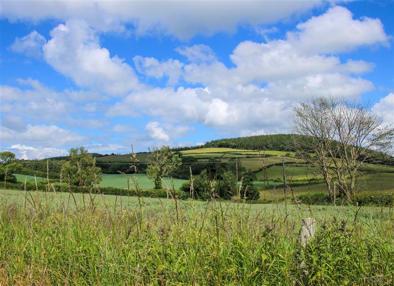 Rural landscape