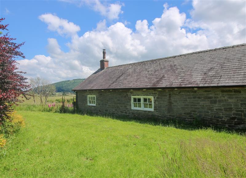 Rural landscape