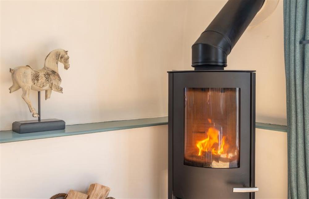 the wood burning stove in the sitting room